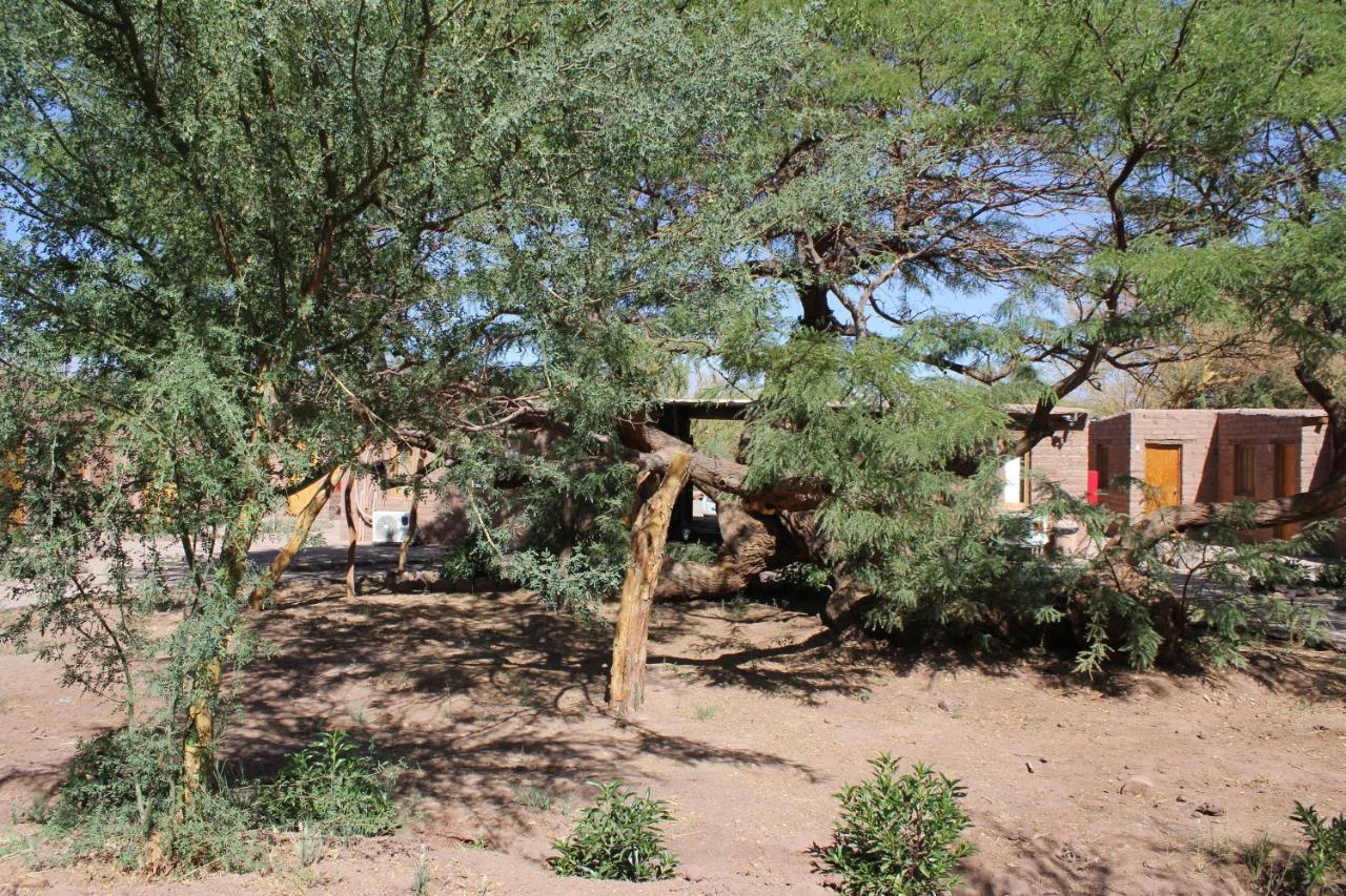 Hotel Casa Don Esteban San Pedro de Atacama Exterior foto